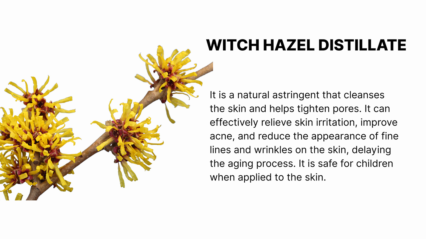 Witch Hazel benefits