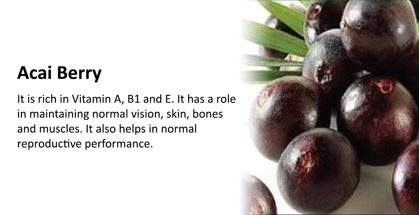 Acai Berry