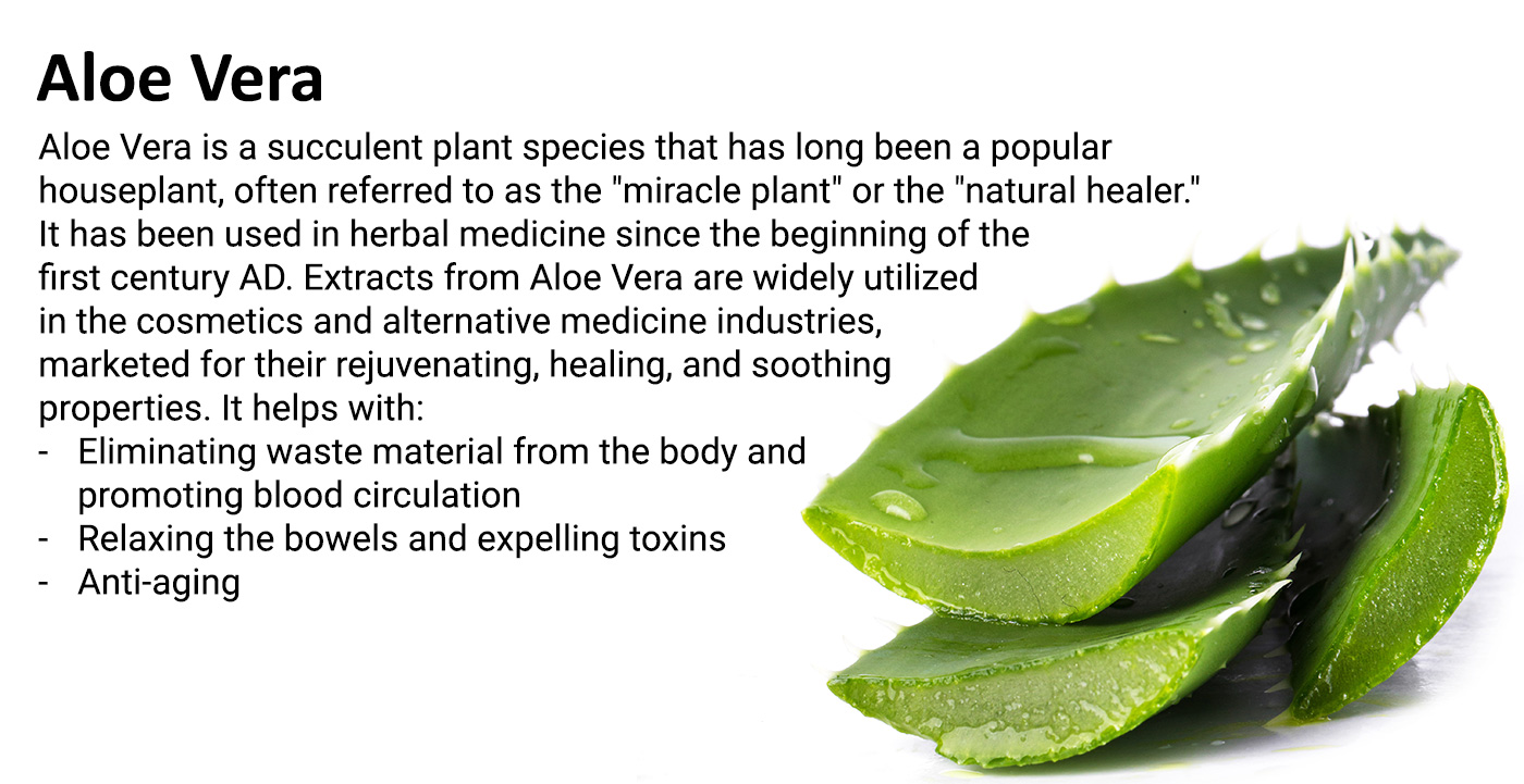 Aloe Vera