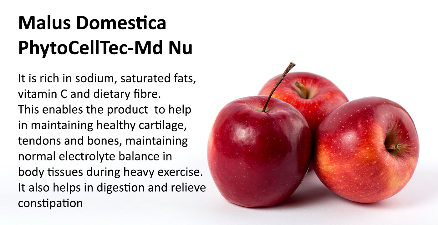 Apple Stem Cell