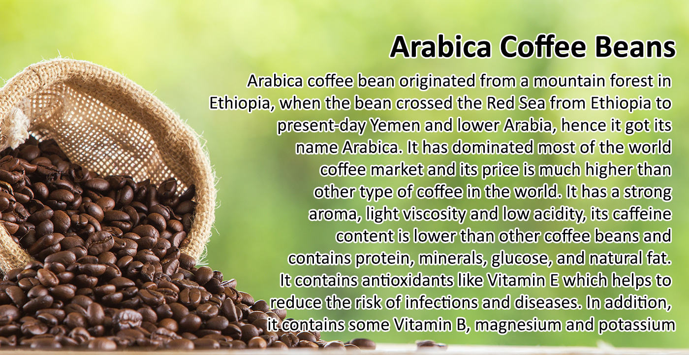 Arabica Coffee Bean
