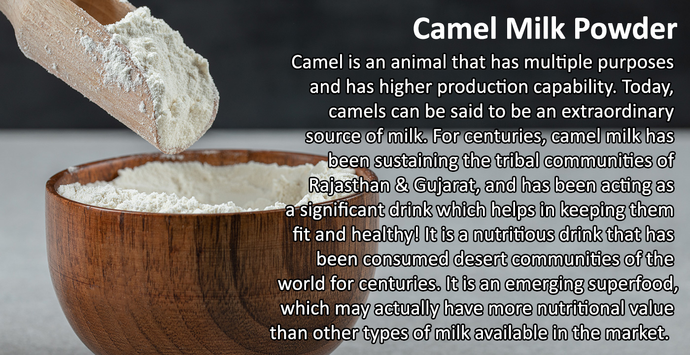 Camel Milk Powder