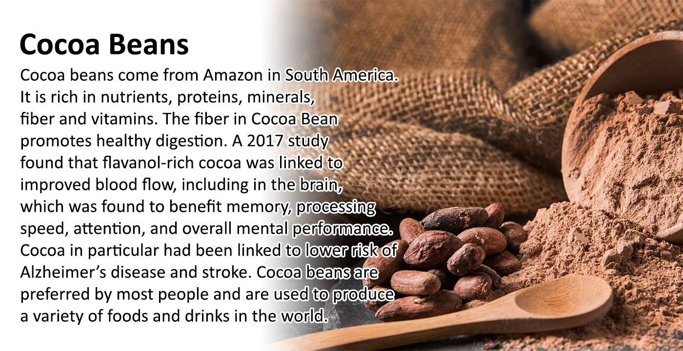 Cocoa Bean