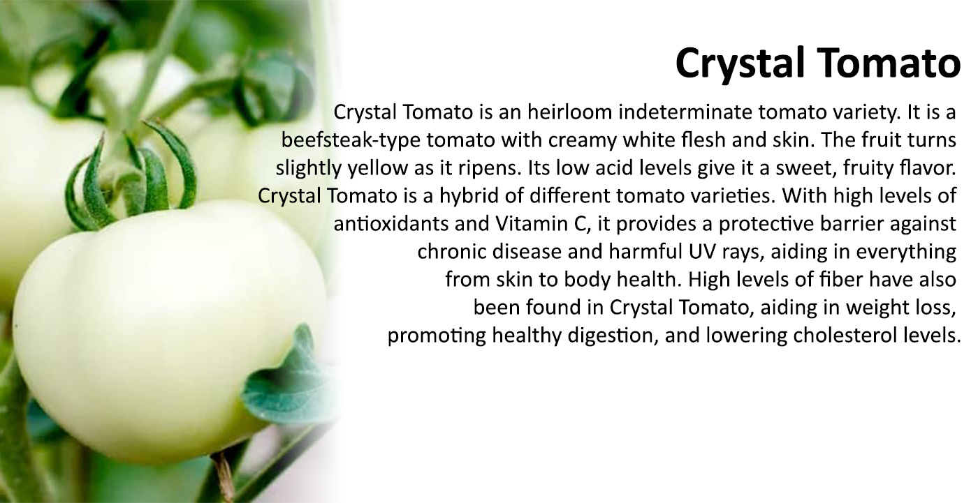 Crystal Tomato