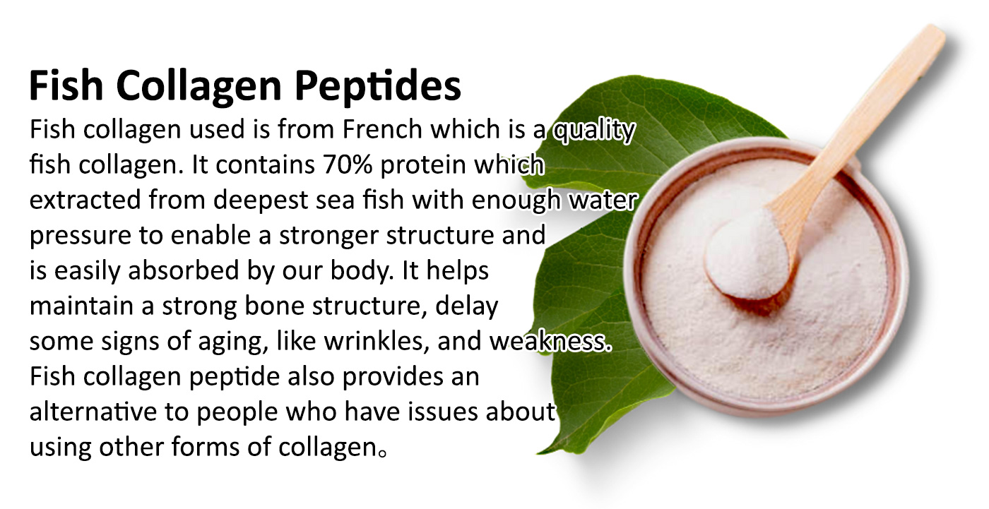 Fish Collagen Peptides