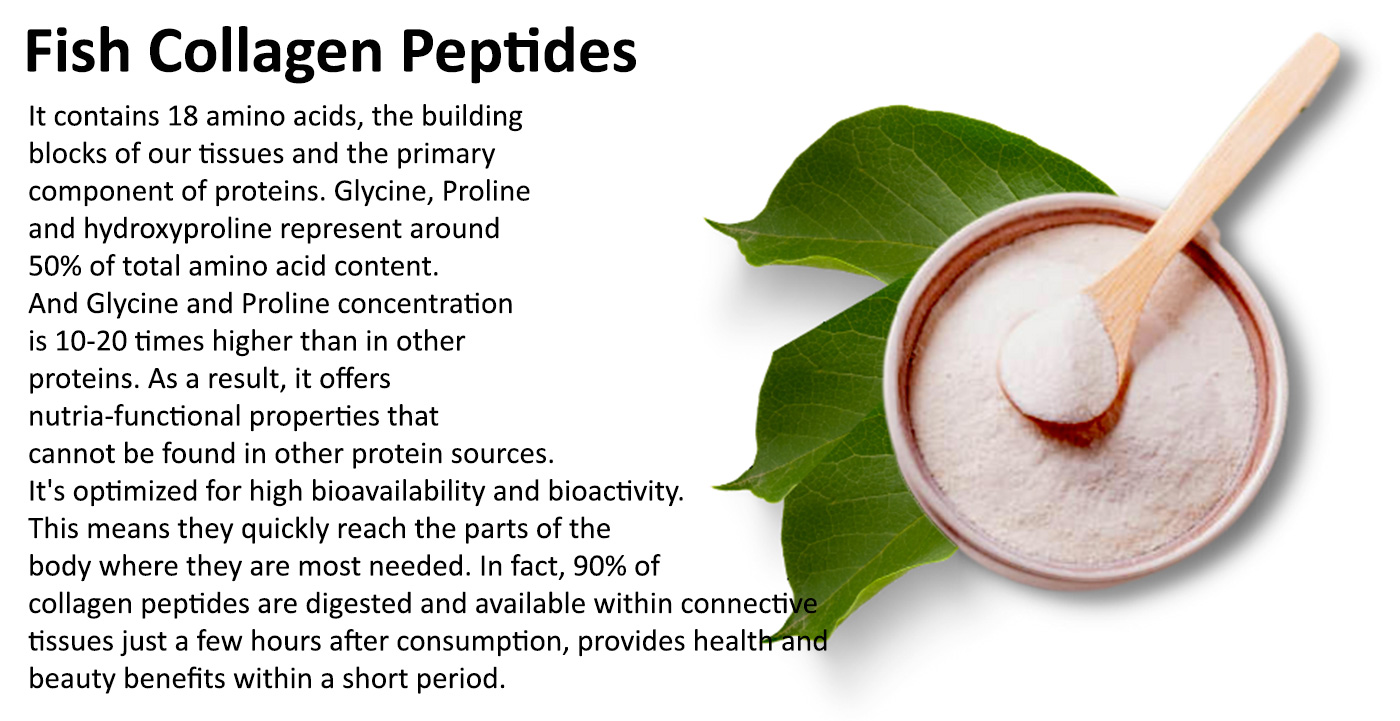 Fish Collagen Peptides