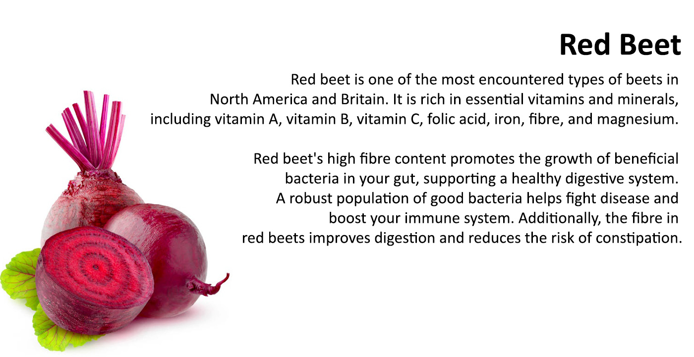 Red Beet