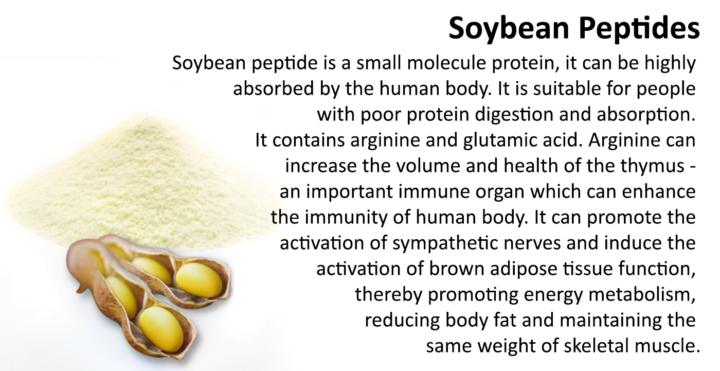 Soybean Peptides