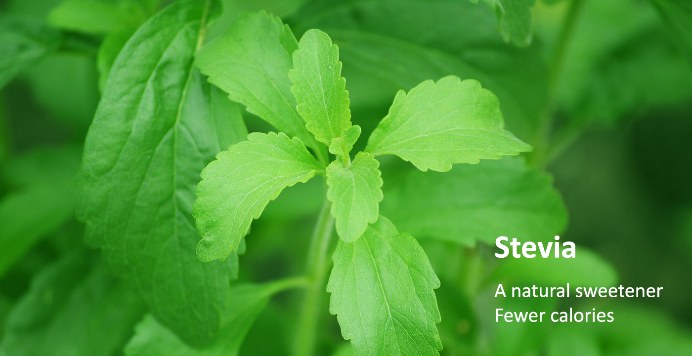 Stevia